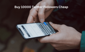 Buy-10000-Twitter-Followers-Cheap-