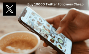 Buy-10000-Twitter-Followers-Cheap