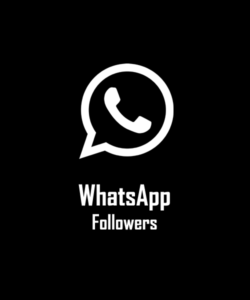 Buy WhatsApp Followers